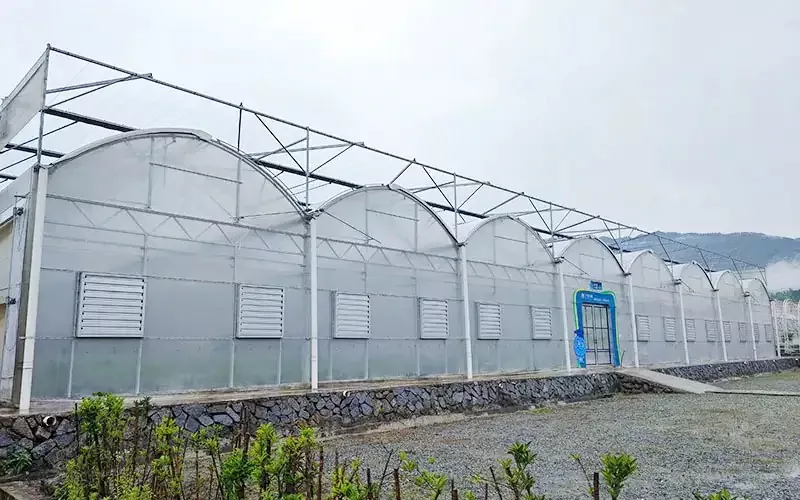 플라스틱 온실의 기술적 변형 : 두 배의 비밀 무기 수익률